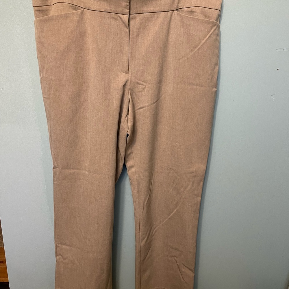 Ann Taylor tan pants